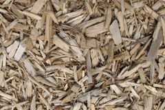 biomass boilers Norr